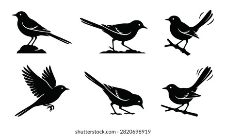 A set of six wagtail bird in various poses silhouette vector icon illustrations on a white background