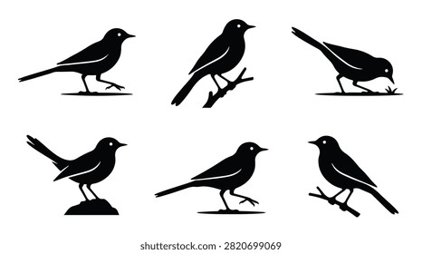 A set of six wagtail bird in various poses silhouette vector icon illustrations on a white background