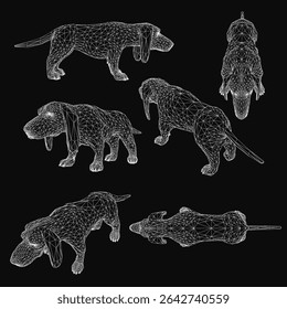 A set of six wireframe dachshunds arranged in a 3D model formation on a sleek black background. The minimalist design highlights the dog's elongated silhouette with clean geometric lines.