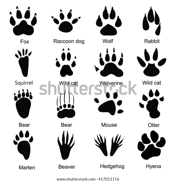 Set Sixteen Animals Paw Print Icons : image vectorielle de stock (libre