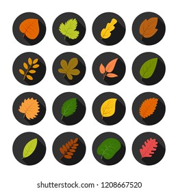 Set of sixteen autumn leaves in circles with shadows. Vector illustration
