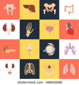 Set of sixteen human organs and anatomic parts color flat icons