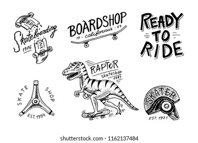 Set of Skateboarding labels logo. Skater Dinosaur tyrannosaur rex rides on the board.. Urban design for badges, emblems t-shirt typography. engraved hand drawn sketch in monochrome vintage style.