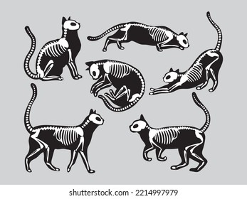 Set skeleton black cats  Collection silhouette halloween cats and bones costume  Funny pets  Vector illustration white background  Tattoo 