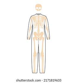 Set of Skeleton costume Human bones front view men women for Halloween, festivals for printing on clothes for Day of the dead flat black color concept Vector illustration of anatomy isolated