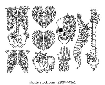 Set of skeleton with flowers. Collection of people bones with floral wreath. Human anatomy. Vector illustration isolated on white background.