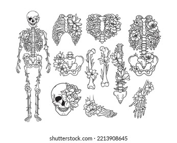 Set skeleton and flowers  Collection people bones and floral wreath  Human anatomy  Vector illustration isolated white background 