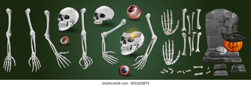 Set of skeleton hands rising from under the ground and torn apart. realistic drawing isolated on white background. EPS10 vector illustration