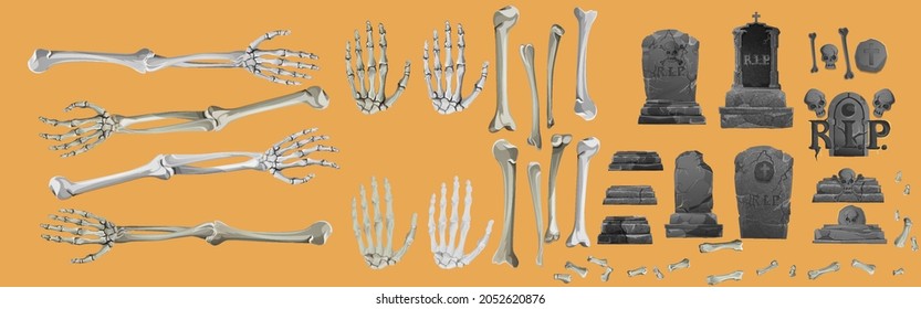 Set of skeleton hands rising from under the ground and torn apart. realistic drawing isolated on white background. EPS10 vector illustration