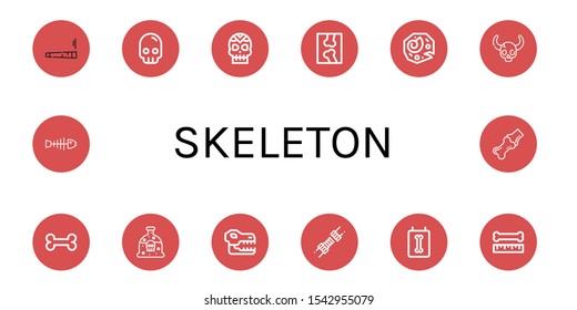 Set of skeleton icons. Such as Joint, Skull, X ray, Fossil, Bone, Poison, Fishbone , skeleton icons