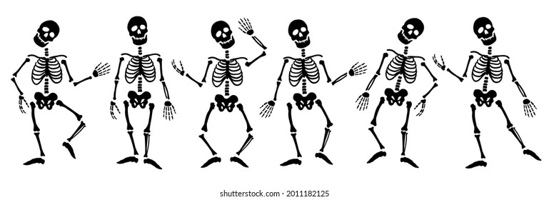 A set of skeletons in different poses. Vector illustration.