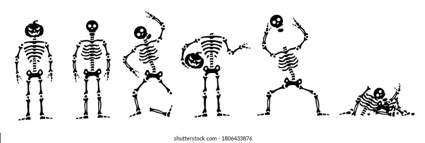 Set of skeletons for halloween. Vector skeleton in different positions. Isolated on white background. Vector illustration.