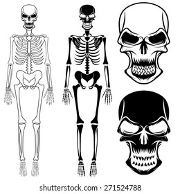 set of skeletons and skulls