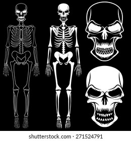 set of skeletons and skulls