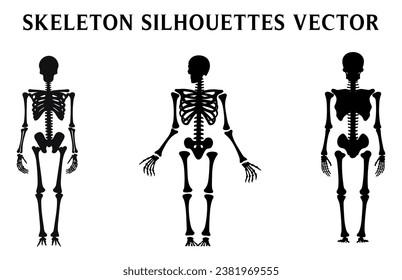 Skeletons-Vektorset zu Halloween, Skeleton-Silhouetten einzeln auf Weiß 