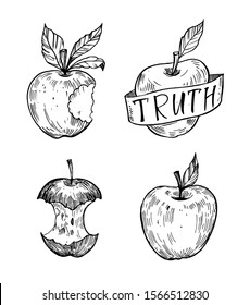 Set of sketch apples. Hand drawn illustration converted to vector. Isolated on white background