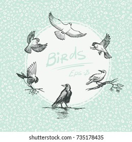 Set of sketch bird. Vector illustration. Eps-8.