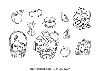 Set of sketch contour drawings of apples. Vector contour drawings of fruits for healthy eating on white background. Ideal for coloring pages, tattoo, stickers