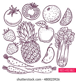 set of sketch fruits and vegetables. hand-drawn illustration