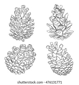 Set of sketch hand drawing pine cones on white background. Collection of Christmas hand drawn fir cones. Conifer cones of various trees cedars, firs, hemlocks, larches, pines and spruces.