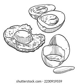 set of sketch and hand drawn egg and boiled egg fried egg