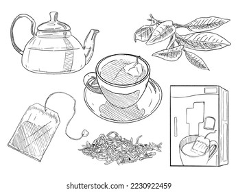 set of sketch and hand drawn element tea collection set