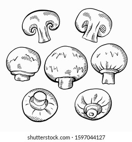 Set of sketch hand drawn illustration of champignon mushrooms with a hatching separately from background. Healthy natural food. Vector rustic element for menus, recipes, labels and your design.