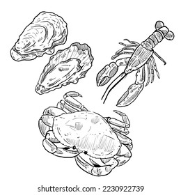 set of sketch and hand drawn seafood element oyster lobster and crab