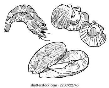 set of sketch and hand drawn seafood element shrimp scallop and salmon steak