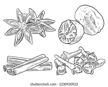 Sketch- und handgezeichnete Gewürzpflanze- und Kräutersternnusswolken und Zimtnamon