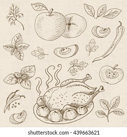 Set of sketch hand drawn, in sketch style, food and spices, old paper textured background. Roasted grill chicken seasoned. Chicken, apples, onion, pepper, tomato, cucumber, basil. Vector illustration.
