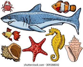 Set of sketch, hand drawn, vector illustration of sea life