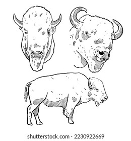 set of sketch and hand drawn winter animal element bull bison