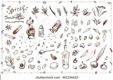 set sketch illustrations and icons for design in cooking, recipe books, menu, packaging, coloring. Isolated vector parts can be painted. art. vintage. vegetables, spices, pepper, salt, oil