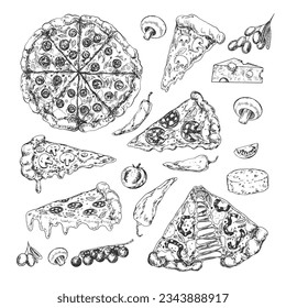 Set of sketch of italian pizza slices and ingredients. Italian fast food. Pizza pepperoni, salami, mushroom. Illustration for menu. Engraved style. Hand drawn camembert, cherry tomato, olive. Top view