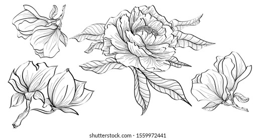 Set sketch line art floral botany collection. Black and white on white backgrounds. Bouquet with hand drawn flowers and plants. Monochrome vector illustration