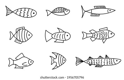 Set of sketch line drawing fish icons. Hand drawn vector illustration. Sea and river fish

