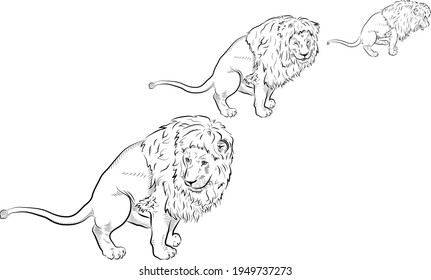   Set. Sketch. Lions in WC.