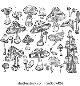 Set of Sketch of mushrooms