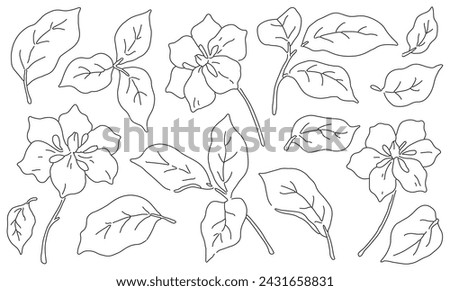 Set of sketch plants. Minimalist line art flowers, leaves isolated on white background. Outline drawing of botanist in collection. Floral graphic design elements, hand drawn flora. Vector illustration