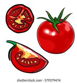 Set of sketch style vector illustrations of ripe red tomatoes isolated on white background. Whole, half and quarter tomato