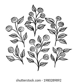 Set of sketch twigs with roses