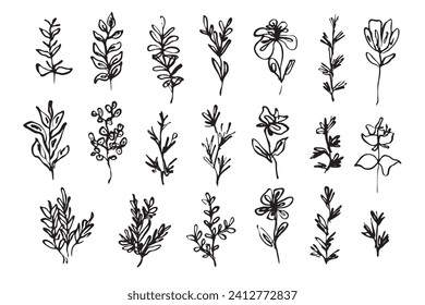 Set of sketch vector black ink hand drawn meadow leaves, herbs and branches. Cute collection of doodle floral elements for pattern and tattoo design, greeting card decoration, logo, banner