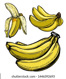 Set of sketch vector illustration bananas.
