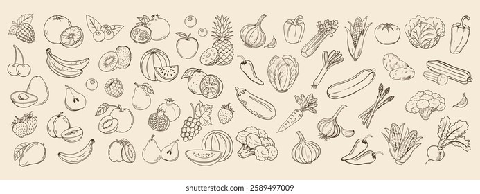Set of sketch vegetables and fruits. Collection of hand drawn farm products for restaurant menu, market label. Retro style illustration sketch