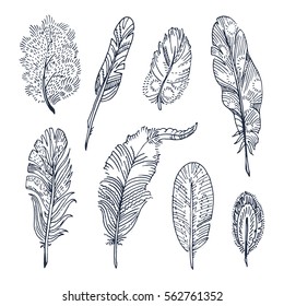 Set of sketched feathers. Free hand drawing