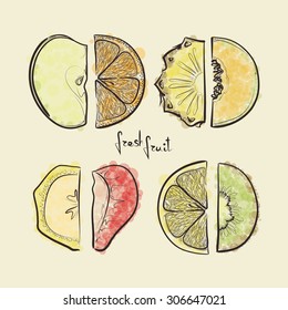 set of sketched fruit slices, design elements