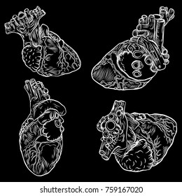 Set of sketched hand drawn line art decorative human hearts in anatomy details. Vintage style beautiful flesh tattoo templates isolated on white. T-shirt print design. Vector.