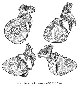 Set of sketched hand drawn line art decorative human hearts in anatomy details. Vintage style beautiful flesh tattoo templates isolated on white. T-shirt print design. Vector.