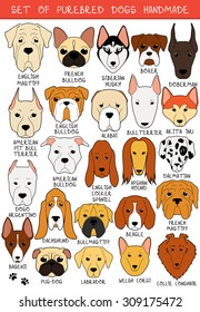 Set sketches of 24 dogs different breeds handmade. Icons with pets animals. Alabai Mastiff. Bulldog and pug. Pitbull isolated. Vector illustration